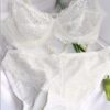 Sexy Lace Brand Push Up Bra & Briefs Set - Image 6