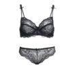 Sexy Lace Brand Push Up Bra & Briefs Set - Image 7
