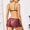 Sexy Transparent Bodycon Intimates Lingerie Set - Image 3