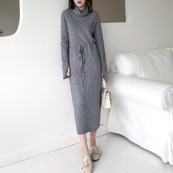 Turtleneck Full Sleeve Lace-up Waist Sweater Dress