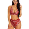 Bras Lace Underwear Sexy Lingerie Panty 2 Piece Set