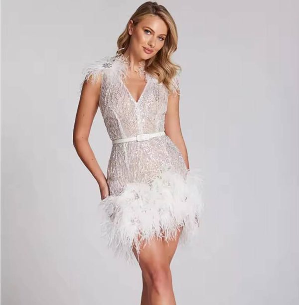 Luxury Feather Sequins Embroidery Regular Fit Mini Dress