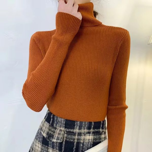 Casual Turtleneck Knitted Soft Pullovers Cashmere Jumpers Basic Soft Sweaters - Image 12