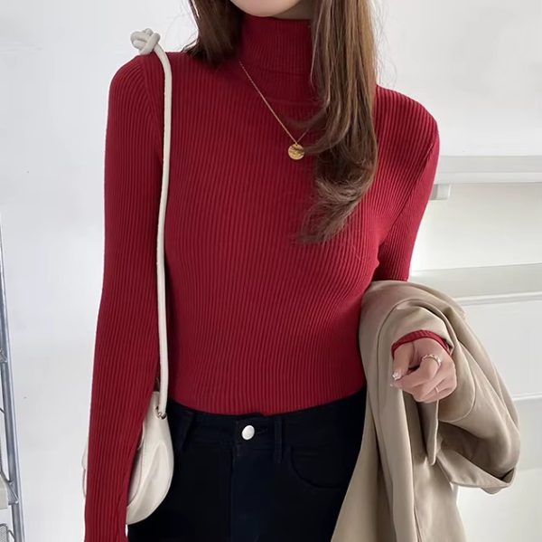 Casual Turtleneck Knitted Soft Pullovers Cashmere Jumpers Basic Soft Sweaters - Image 17