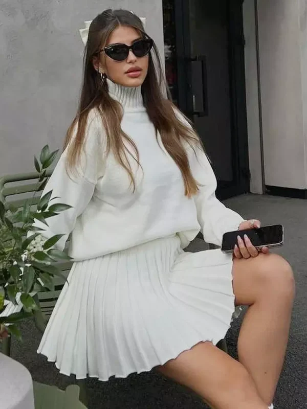 Casual Turtleneck Sweater And Pleated Skirt Two Piece Set