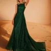 Elegant A-Line Jewel Neck Polyester With Train Social Party Maxi Dress - Image 5