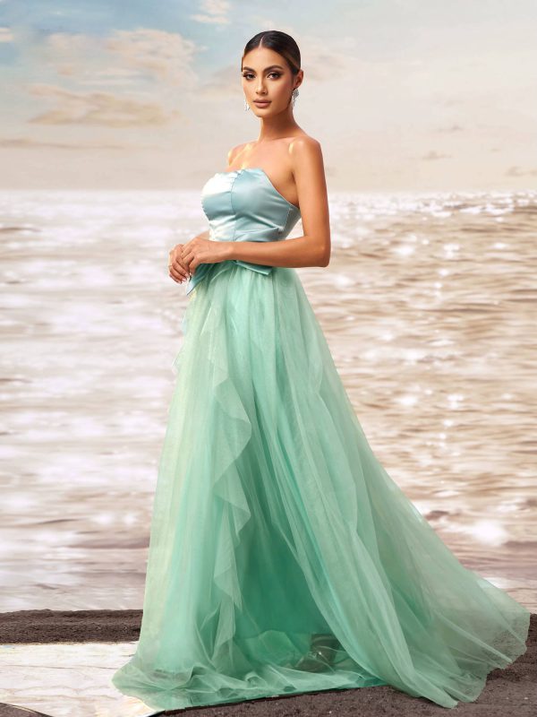 Elegant Empire Strapless Floor Length Regular Fit Birthday Party Gown - Image 3