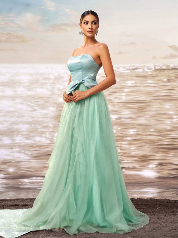 Elegant Empire Strapless Floor Length Regular Fit Birthday Party Gown - Image 2