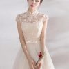 Elegant Mandarin Collar Lace Applique Cap Sleeve Bow Sash Short Dress - Image 4
