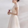 Elegant Mandarin Collar Lace Applique Cap Sleeve Bow Sash Short Dress - Image 5