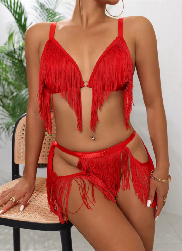 Intimate Deep V Irregular Tassel Lingerie Bra and Panty Exotic Set - Image 6