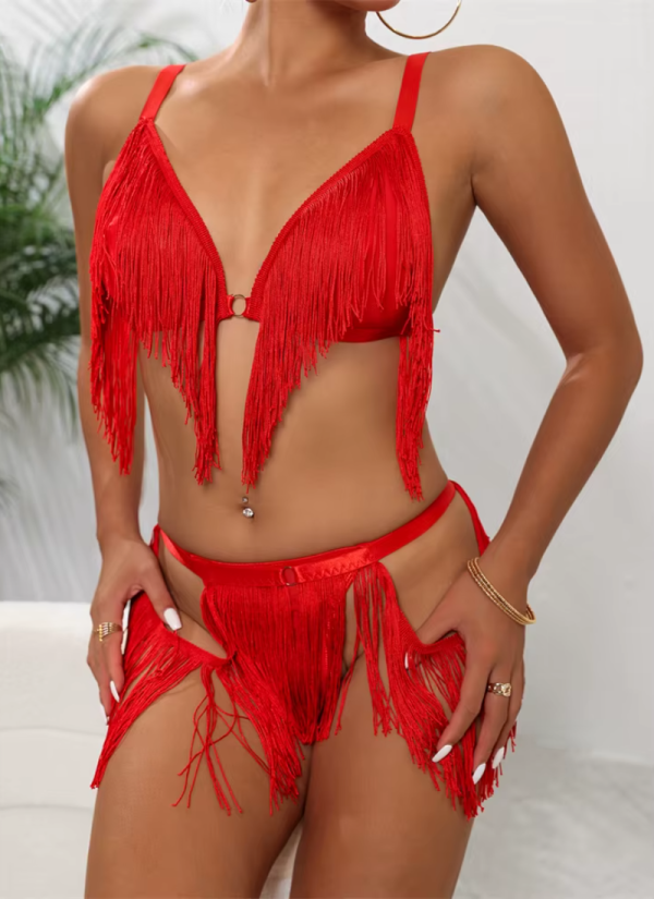 Intimate Deep V Irregular Tassel Lingerie Bra and Panty Exotic Set - Image 5