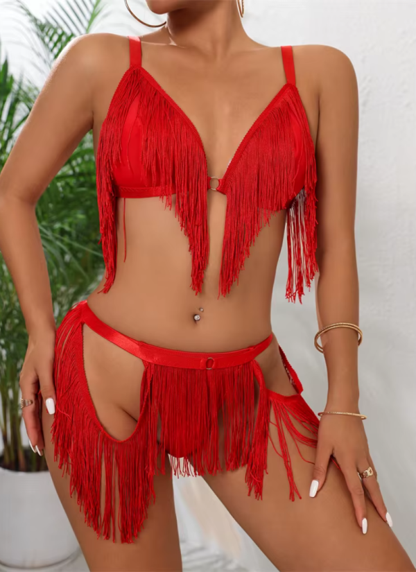 Intimate Deep V Irregular Tassel Lingerie Bra and Panty Exotic Set - Image 4