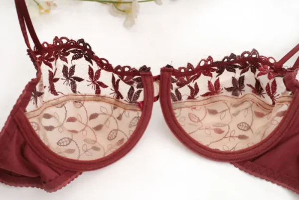 Mesh Lace Push-up Adjusting Embroidery Ultra Thin Bra Lingerie Set - Image 6