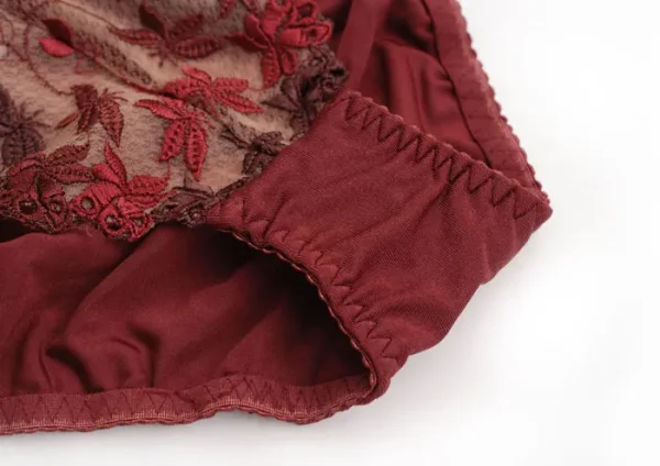 Mesh Lace Push-up Adjusting Embroidery Ultra Thin Bra Lingerie Set - Image 9